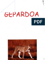 Gepardoa