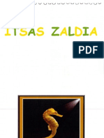 Itsas Zaldia