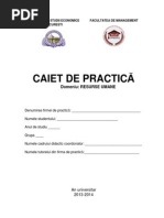 Caiet Practica Resurse Umane