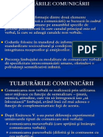 Tulburarile Comunicarii