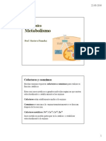MetabolismoIQ2014 PDF