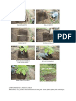 Jabon PDF