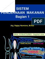 Sistem Pencernaan MKN 1 - Oral