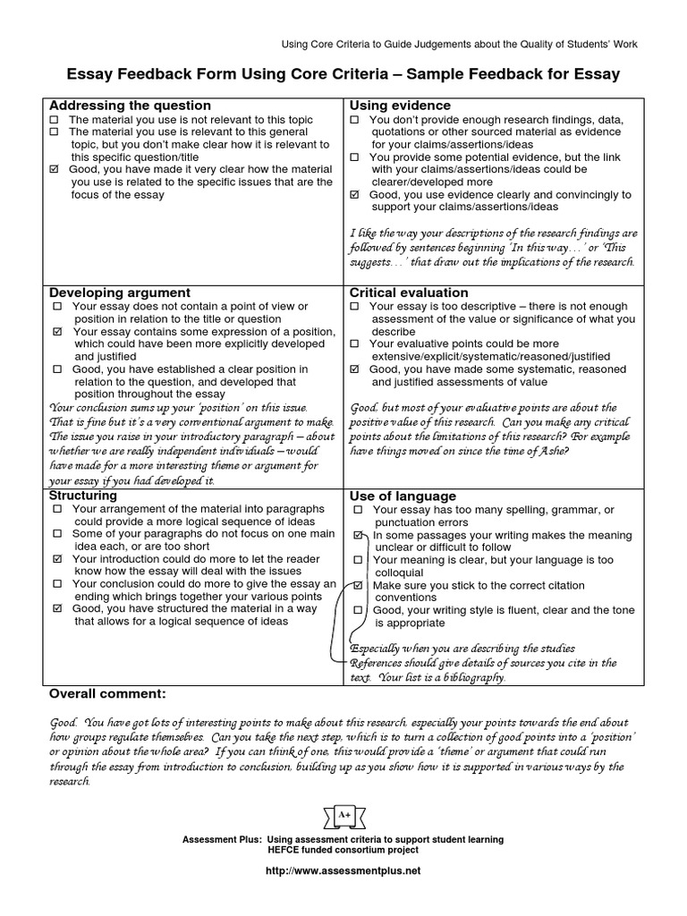 feedback-essay-voorbeeld-essays-argument