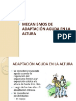 Mecanismos de Adaptación Aguda en La Altura