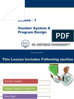 Number System & Program Design