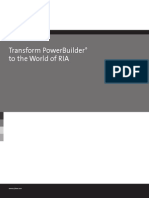 PowerBuilder RIA 050709 WP