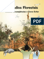 Cartilha Incêndio Florestal