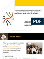 NESsT Plan de Afaceri_ Noiembrie 2012