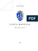 132950715 Monografia Comunei Sasca Montana PDF