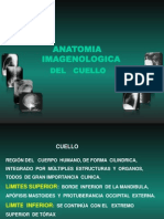 Anatomia Imagenologica Del Cuello