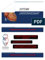 Sistema Cardiovascular Udec 2013