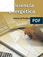 Eficiencia Energetica Teoria e Pratica