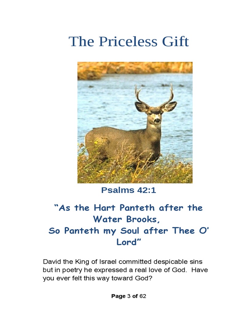 The Priceless Gift | PDF | Eternal Life (Christianity) | Salvation