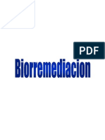 BIORREMEDIACION