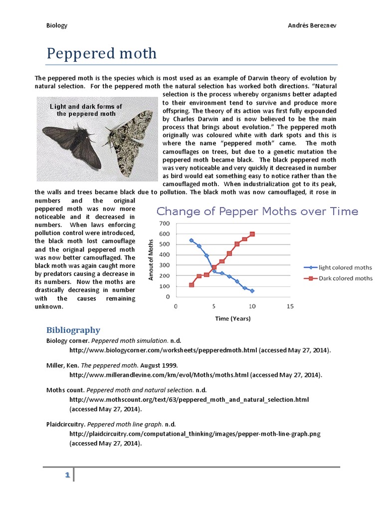 Peppered Moth Natural Selection Paleontological Concepts And Hypotheses