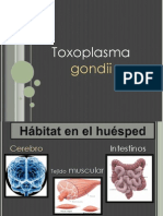 Toxoplasma Gondii Banco I