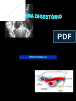 Sistema Digestorio