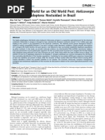 Download Article about Helicoverpa armigera in Brasil  by Giovani Theisen SN226708721 doc pdf