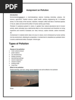 Assignment On Pollution