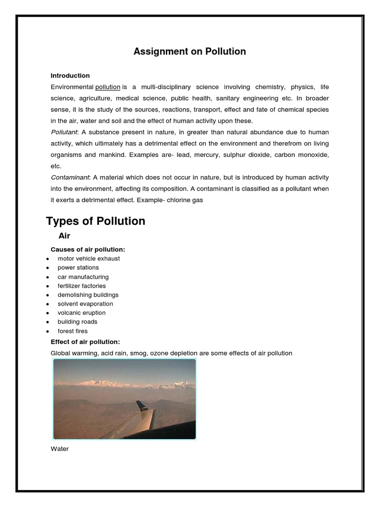 assignment on environmental pollution