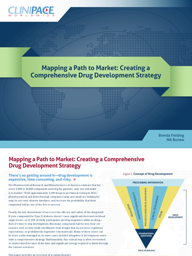 Comprehensive Drug Development Strategy | PDF | Drug Development ...
