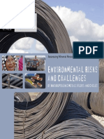 Environmental risks and challenges of anthropogenic metals flows and cycles - Summary 