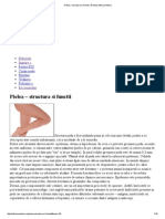 Pielea – Structura Si Functii _ Revista InfoCosmetica