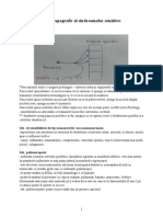 CURS 03 Sensibilitatea