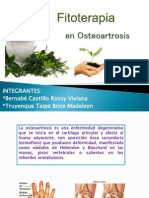 Osteoartrosis