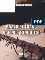 Brazii Se Frang, Dar Nu Se Indoiesc+1+prezentare+site