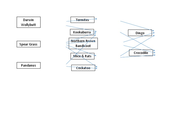 Food Web | PDF