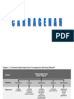 Carragenan pectinas 2013.ppt