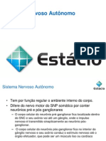 Sistema Nervoso - Autonomo - Atualizado