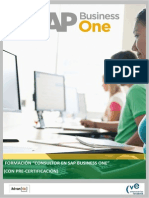 Programa Consultor SAP CVE1