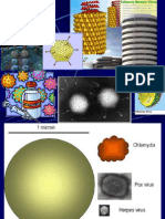 Introduccion Virología 2006