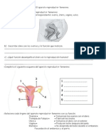 Conocimiento Tema 3