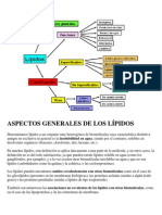 Aspectos Generales de Los Lípidos