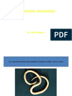 2NEMATODOS.pdf