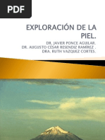 EXPLORACIÓN DE LA PIEL.pptx