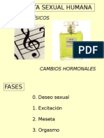 Respuesta Sexual Humana