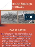 5º Clase Poda de Los Frutales 2014 PDF