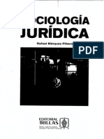 SOCIOLOGIA JURIDICA_ Marquez Piero Rafael_Texto Bsico