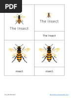 The Insect Nomenclature and Definition Cards