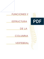 Estructura y funciones de la columna vertebral
