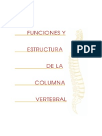 Columna Vertebral