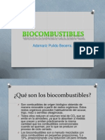 Bio Combustibles