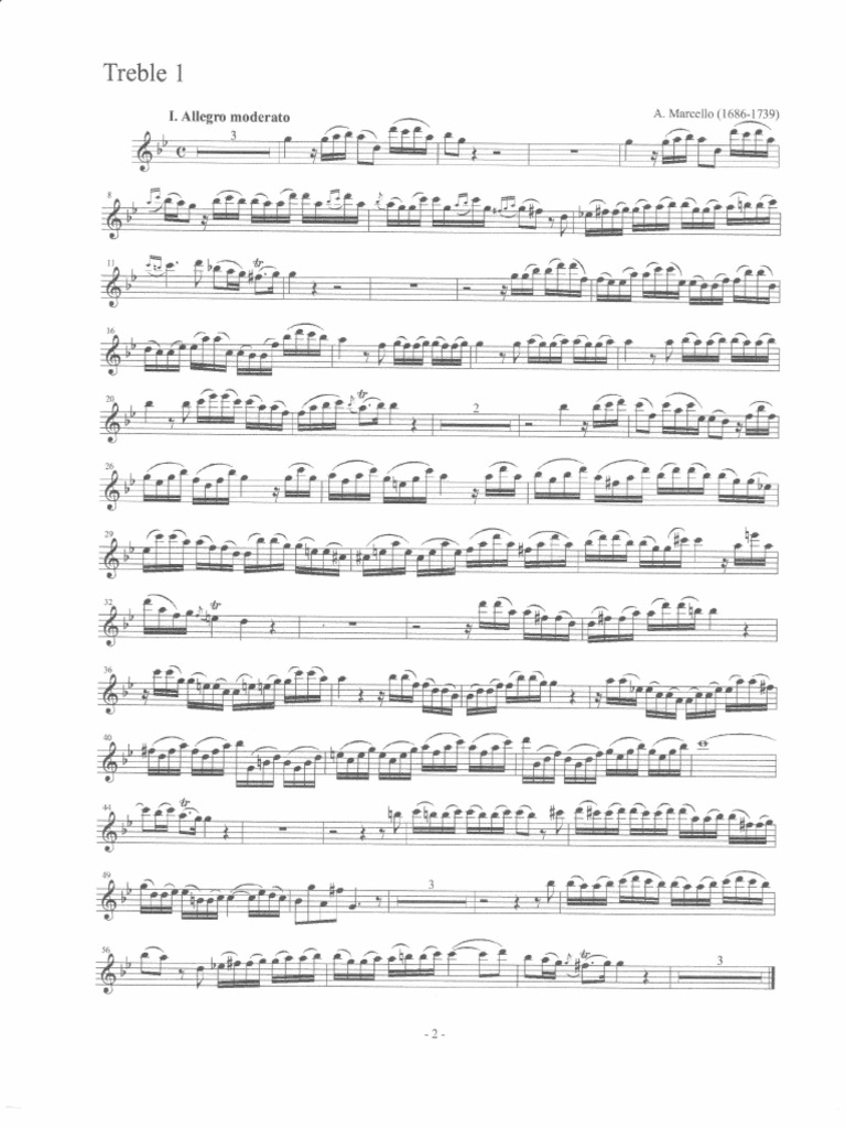 Marcello Oboe Concerto in d minor for Flute in g minor Adagio