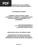 PassadorLuizHenrique D