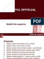 Epitelial_1_11